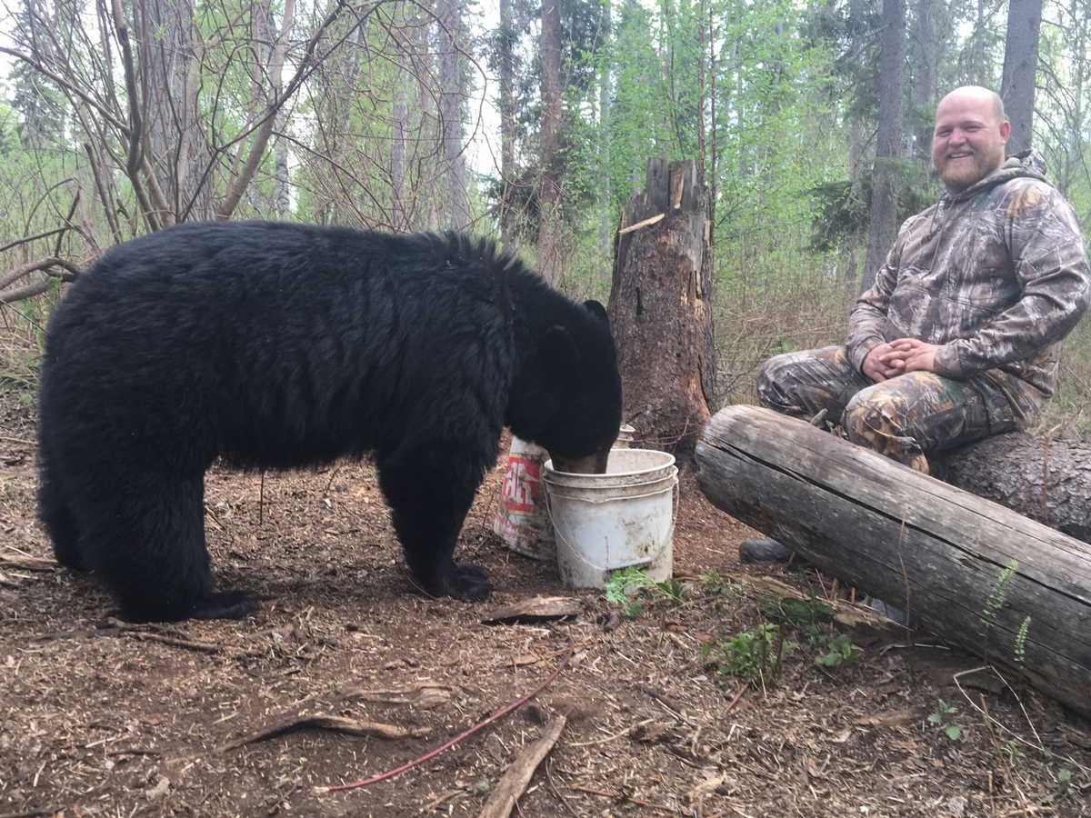 Black Bear Hunting Equipment Checklist Black Bear Hunting Equipment Checklist
